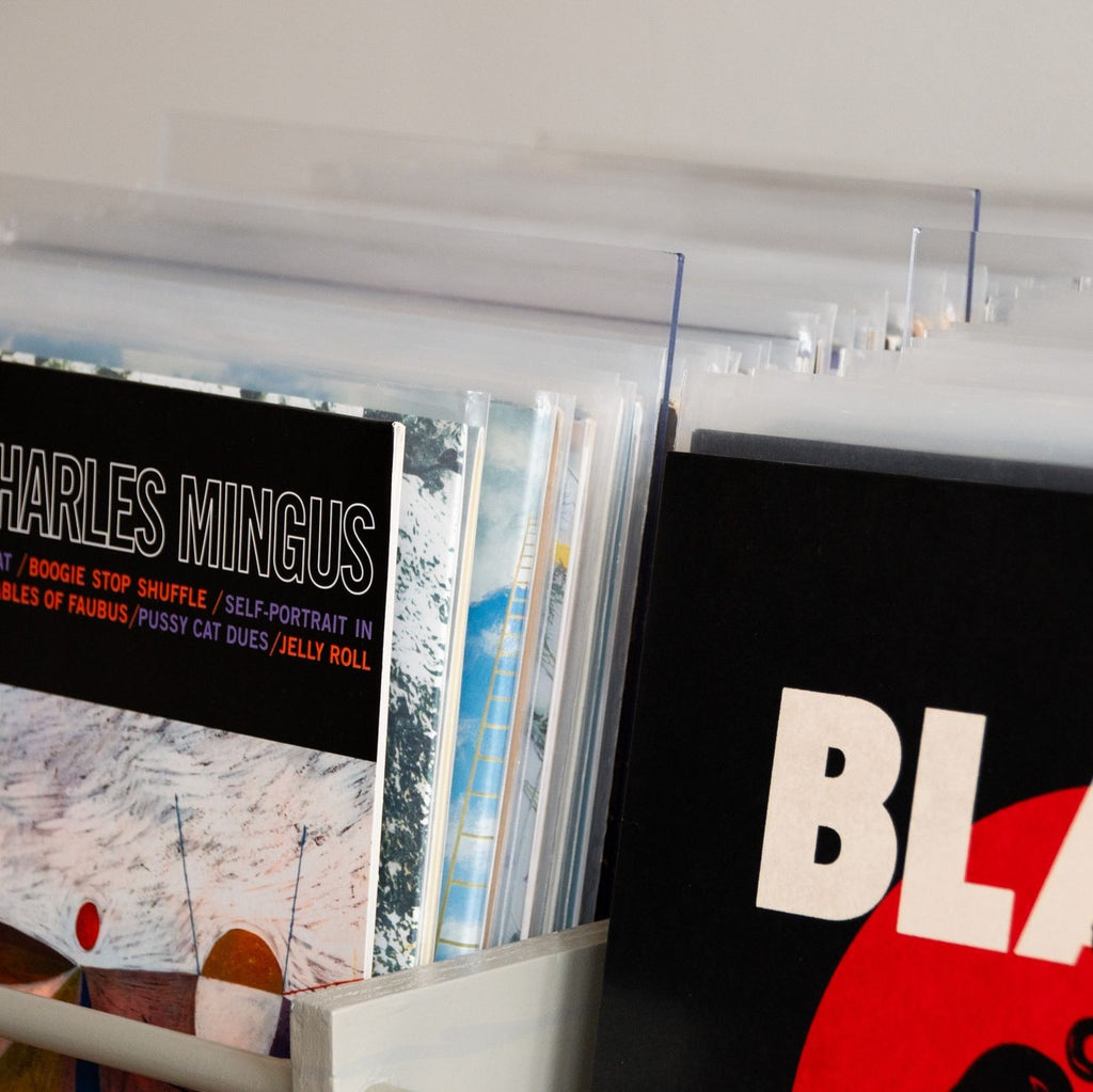 Plexiglas voor vinylplaten – houdt huisdieren uit de buurt van LP-opslag