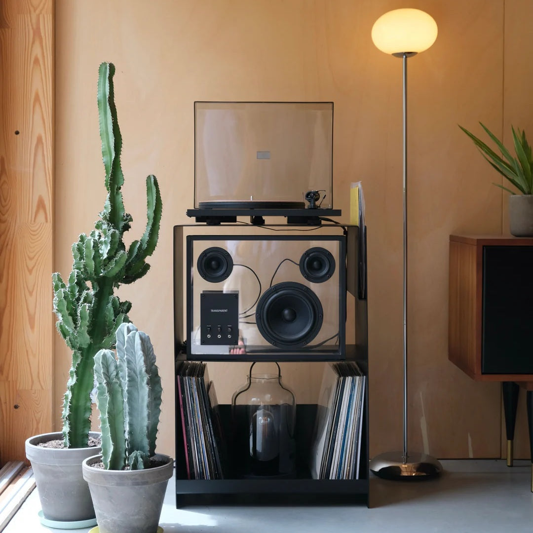 LOIA La Console Acier II - Platenkast
