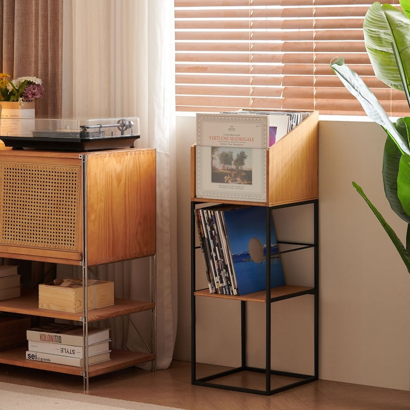 NorStone Vinyl LP Stand met glazen front voor het presenteren van een LP-hoes